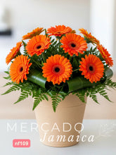 Cubetas Gerberas Naranja